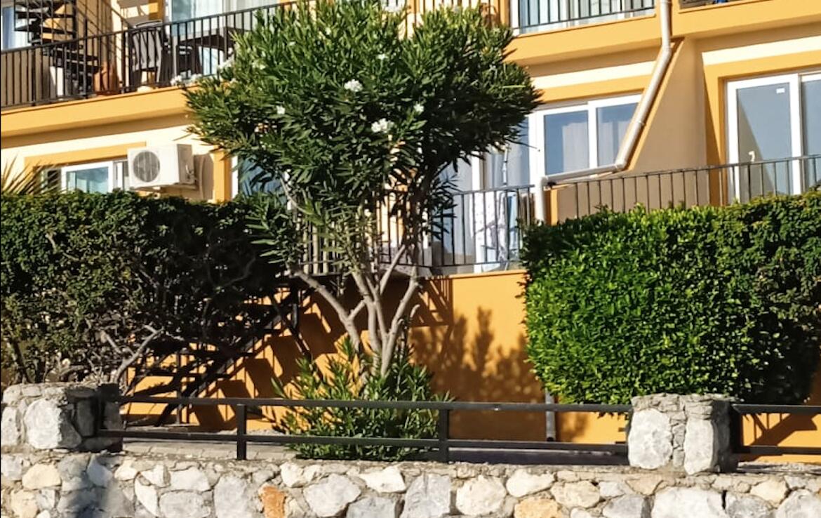 Квартира 1+1 в комплексе Chelsey Village