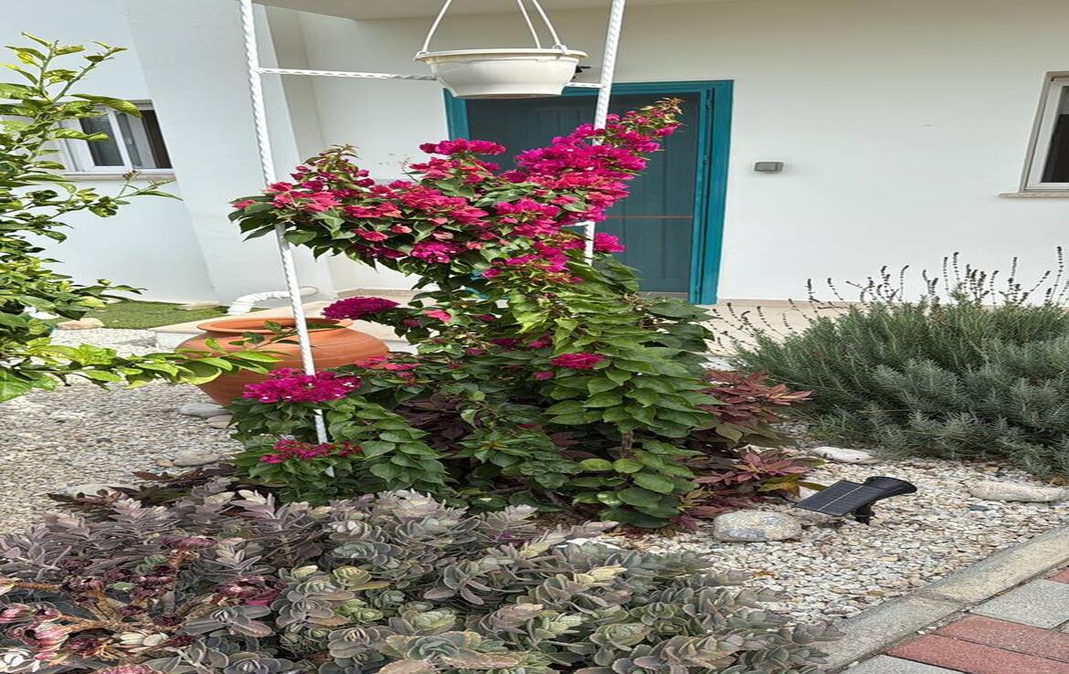 Аренда квартиры 3+1 в Бахчели